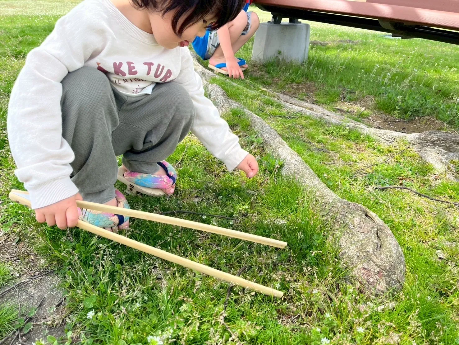 エコロジーウォーキング